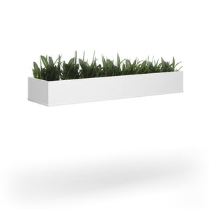 Wooden planter 1600mm wide to fit on side-by-side wooden lockers